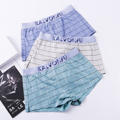 4Pcs Boxer Underwear Cotton Mens Underwear Cotton Boxers Underpants Breathable Boxer Shorts Men  Male Panties Boxershorts