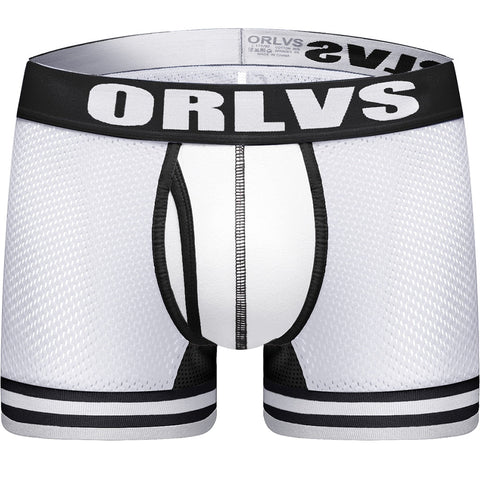 ORLVS Sexy Men Boxers Comfortable Underwear Mesh Breathable Nylon Male Panties Cueca Tanga Men Boxershorts Solid Shorts Boxers