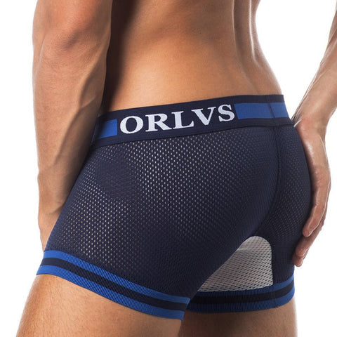 ORLVS Sexy Men Boxers Comfortable Underwear Mesh Breathable Nylon Male Panties Cueca Tanga Men Boxershorts Solid Shorts Boxers